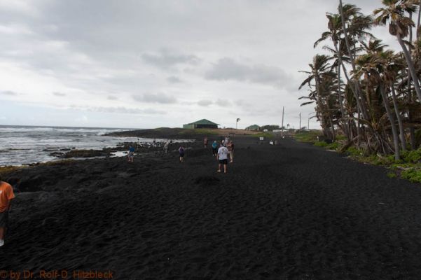 Punalu'u Black Sand Beach
