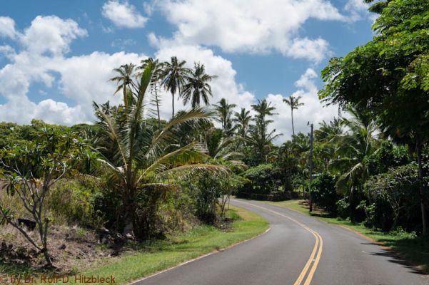 Puna Coast
