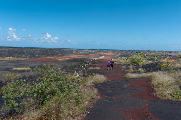 New Kaimu Black Sand Beach
