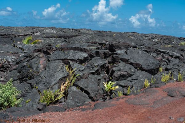 New Kaimu Black Sand Beach
