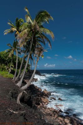Puna Coast Milepost 15 
