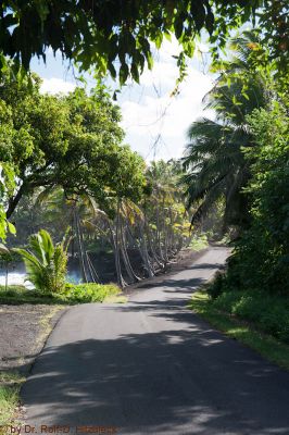 Puna Coast Milepost 15

