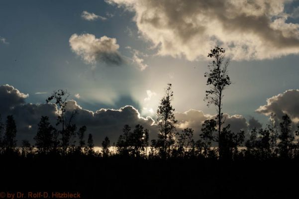 Hawaiian Paradise Park, Puna Coast
