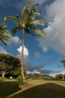Puamana Princeville Vacation Rental
