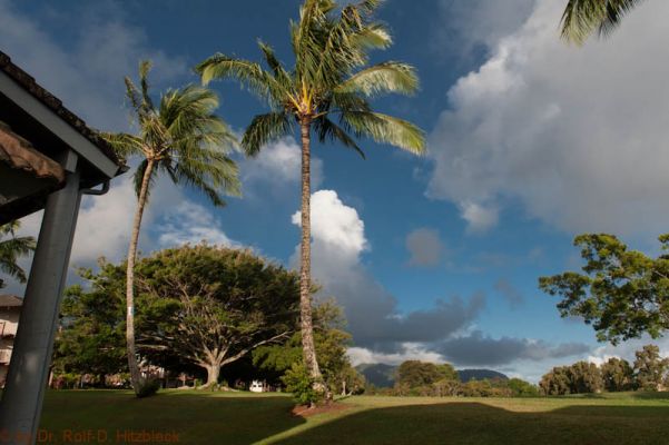 Puamana Princeville Vacation Rental
