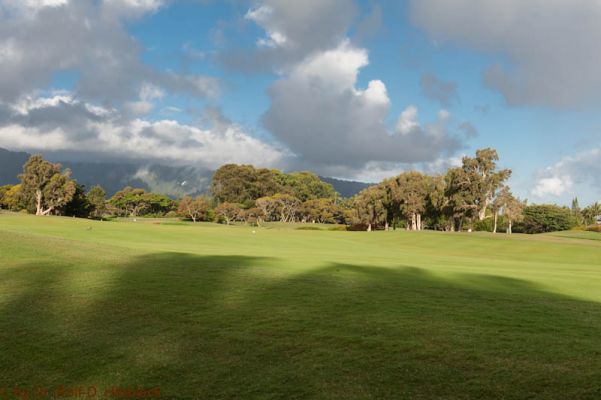 Puamana Princeville Vacation Rental
