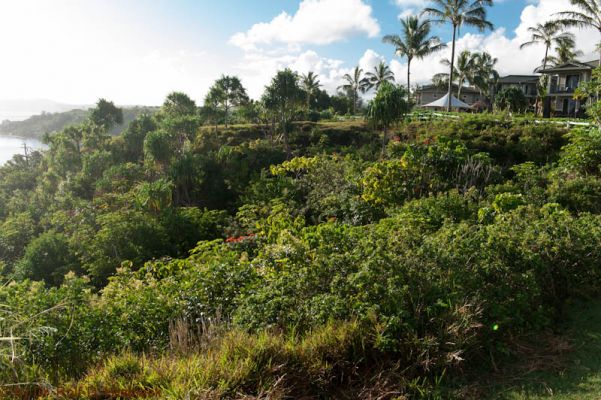 Puamana Princeville Vacation Rental
