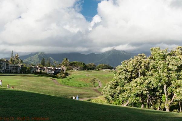 Puamana Princeville Vacation Rental
