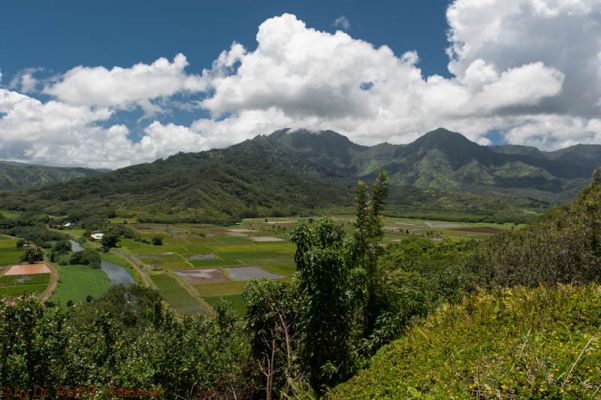 Hanalei Bay
