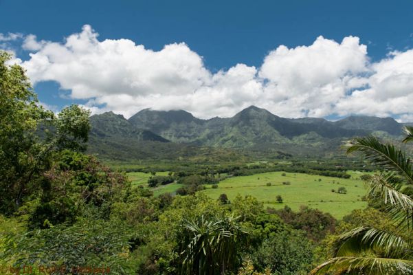 Hanalei Bay
