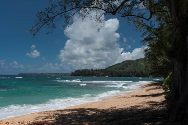 Northshore
