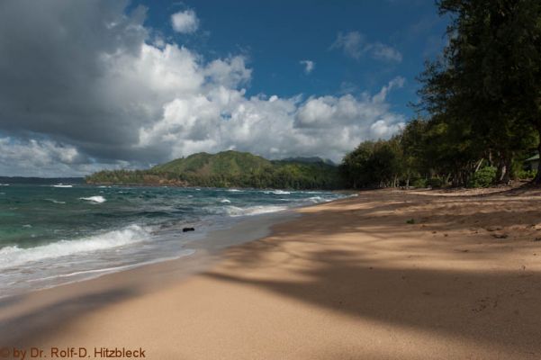Tunnels Beach Park
