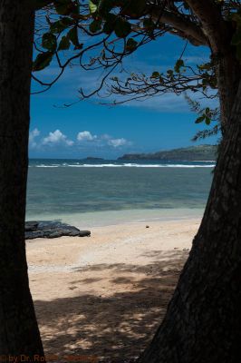 Anini Beach
