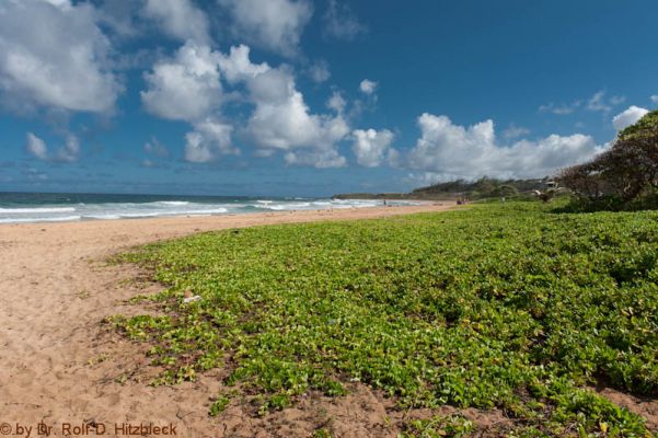 Kealia Beach
