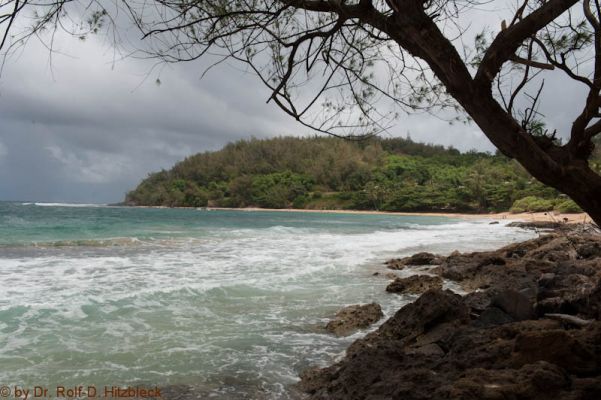 Moloa'a Bay
