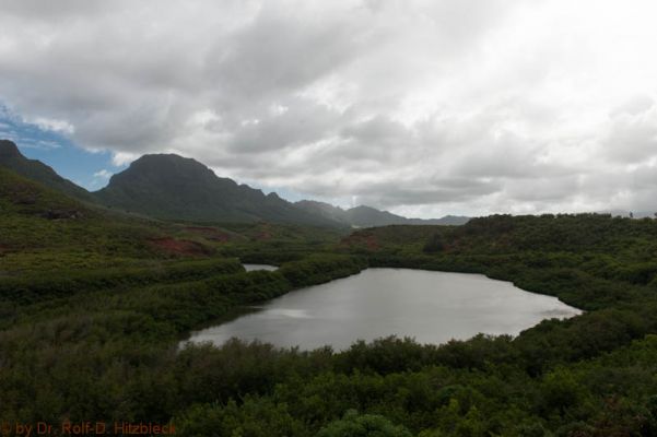 Menehune Fishponds
