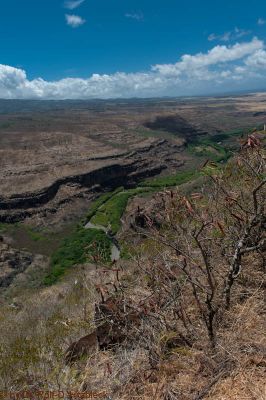 Waimea Canyon
