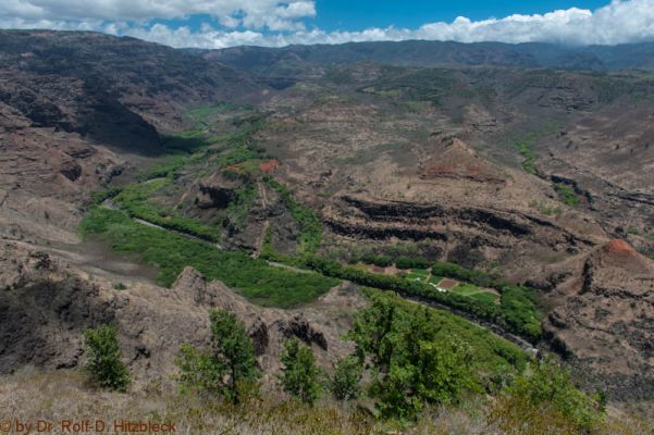 Waimea Canyon
