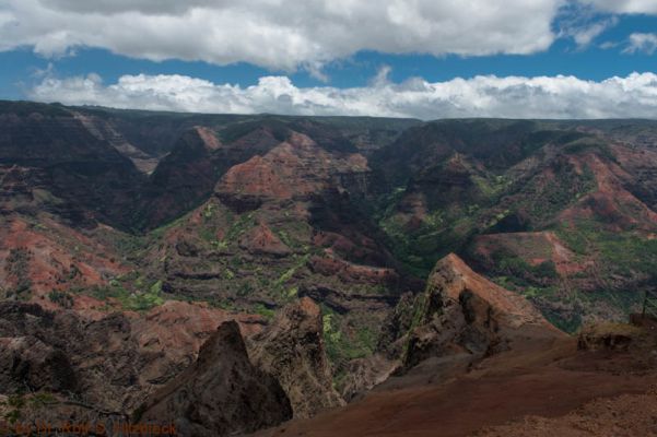 Waimea Canyon
