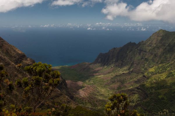 Koke'e State Park
