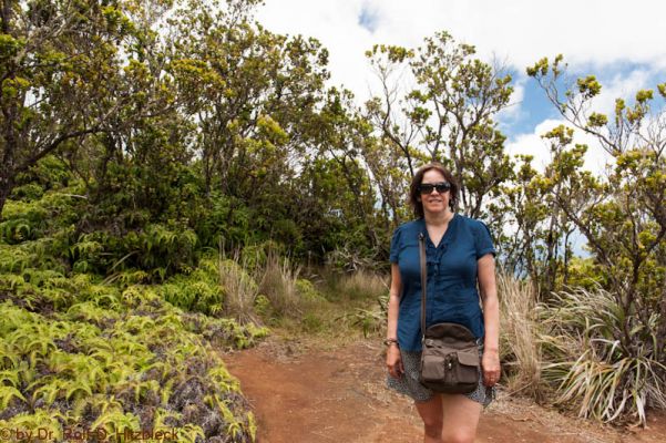 Koke'e State Park
