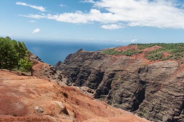 Koke'e State Park
