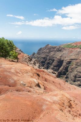 Koke'e State Park

