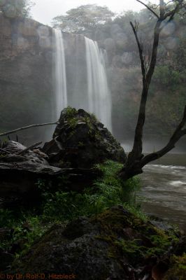 Wailua Falls
