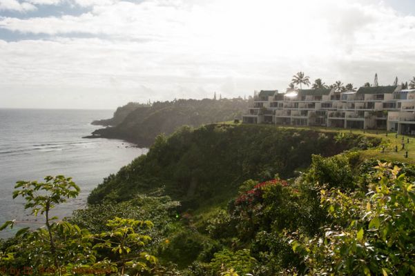 Princeville
