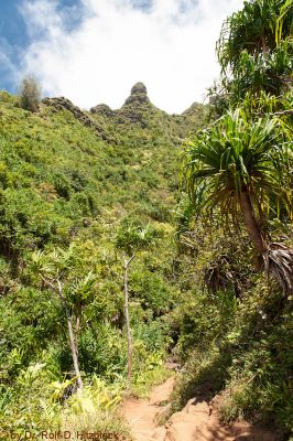 Kalalau Trail
