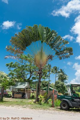 Hanalei Bay
