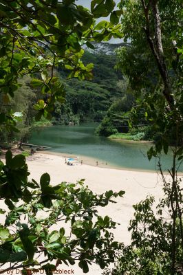 Kalihiwai Beach
