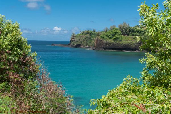Kalihiwai Beach
