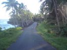 Puna Coast