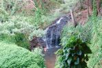 Queen's Bath/Princeville