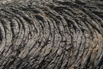 New Kaimu Black Sand Beach