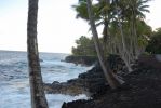 Puna Coast