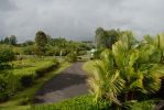 Malia Bree in Onomea Vacation Rental Haus