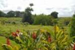 Malia Bree in Onomea Vacation Rental Haus