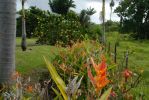 Malia Bree in Onomea Vacation Rental Haus