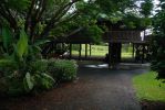 Malia Bree in Onomea Vacation Rental Haus