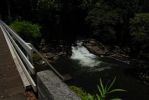 Onomea Scenic Drive