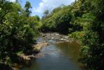 Onomea Scenic Drive