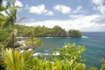 Onomea Scenic Drive