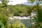Onomea Scenic Drive