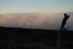 Mauna Kea