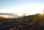 Mauna Kea