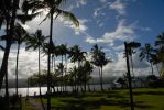 Coconut Island