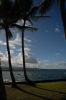 Coconut Island