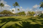 Coconut Island